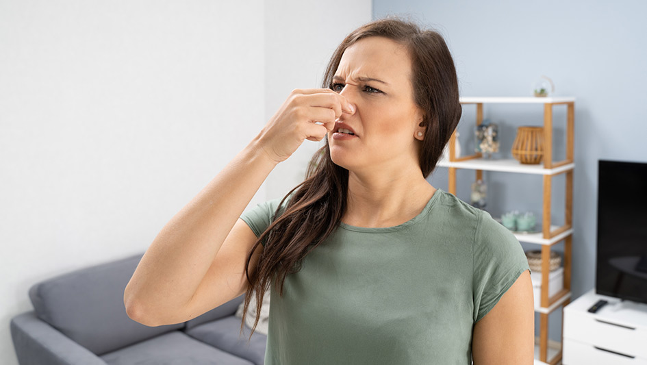Six Common Air Conditioner Smells Answered and How to Solve Them