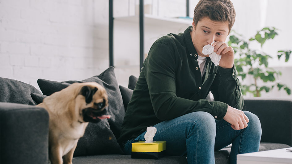 Getting an air purifier is one of the wisest ways to boost your house’s indoor air quality. Learn more about the three smartest solutions. 